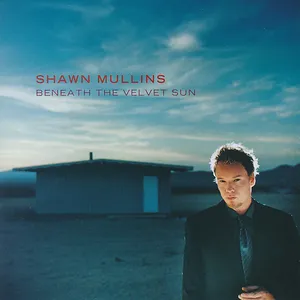 Beneath the velvet sun